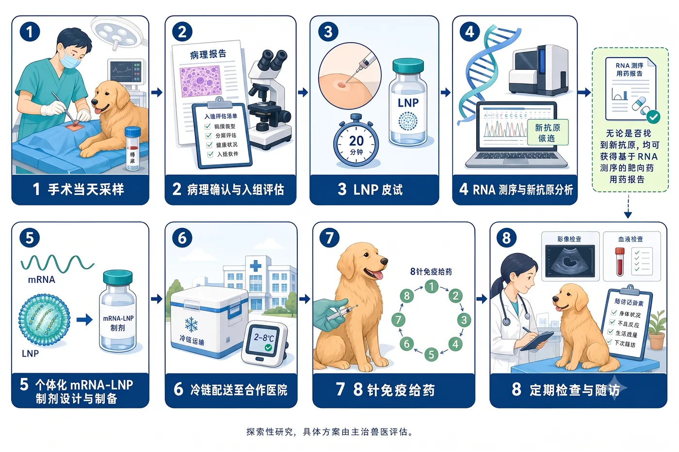 Full workflow of personalized mRNA immunotherapy: sampling → sequencing → AI selection → building → injection → follow-up