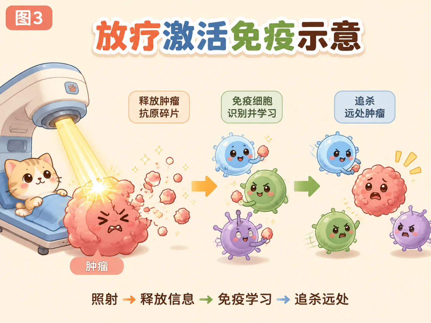 远隔效应:照A处、B处缩小