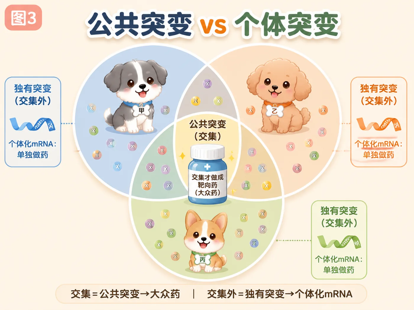 公共突变 vs 个体突变：大众靶向药只覆盖高频共享突变，个体突变千变万化