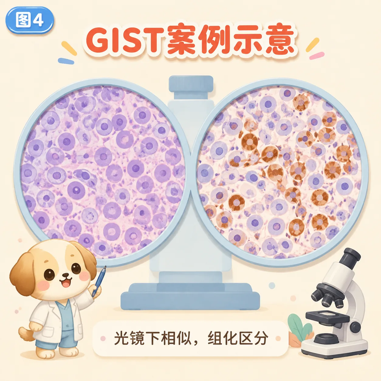 病理+组化 vs 测序