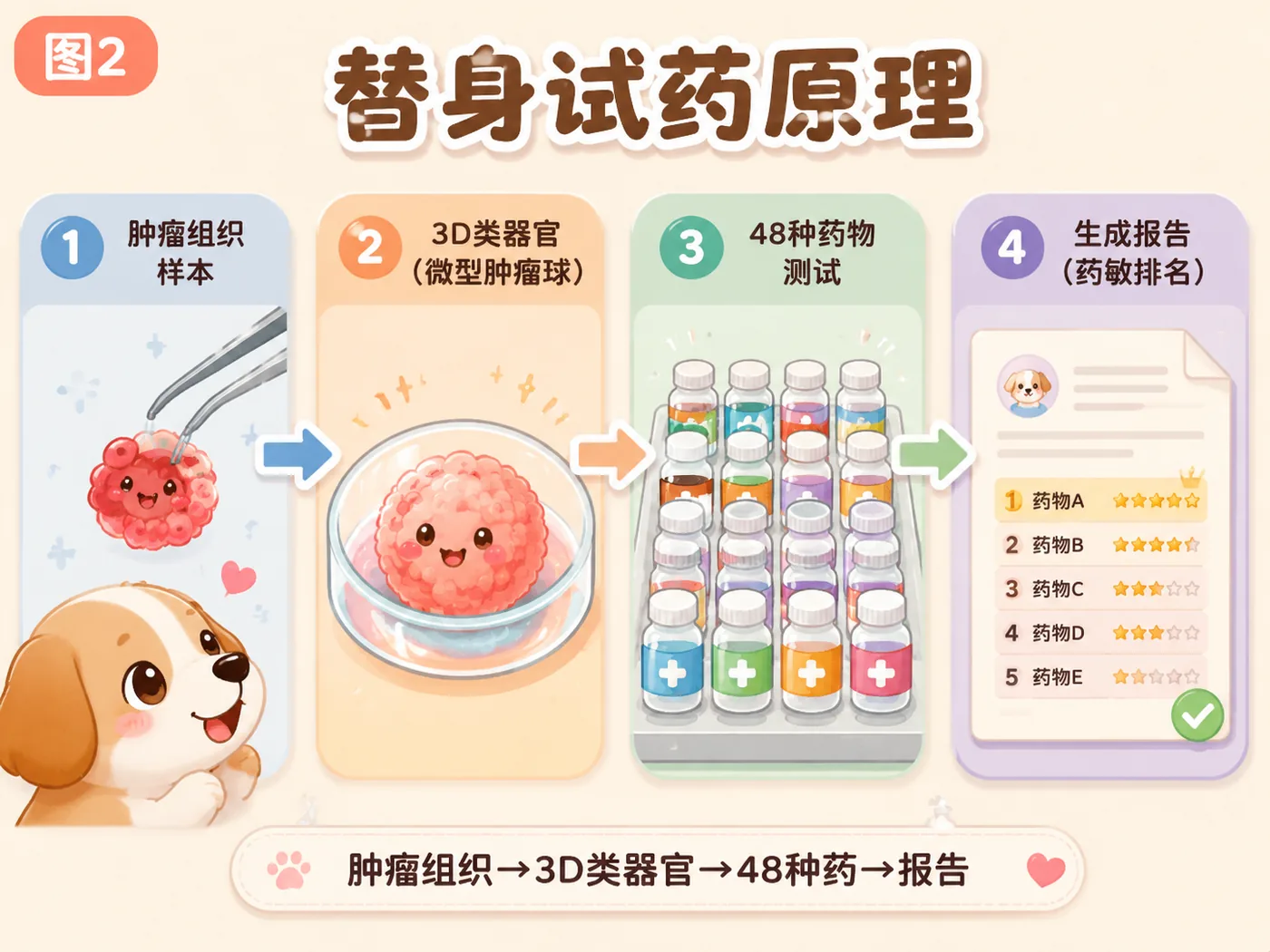 盲试 vs 替身试药