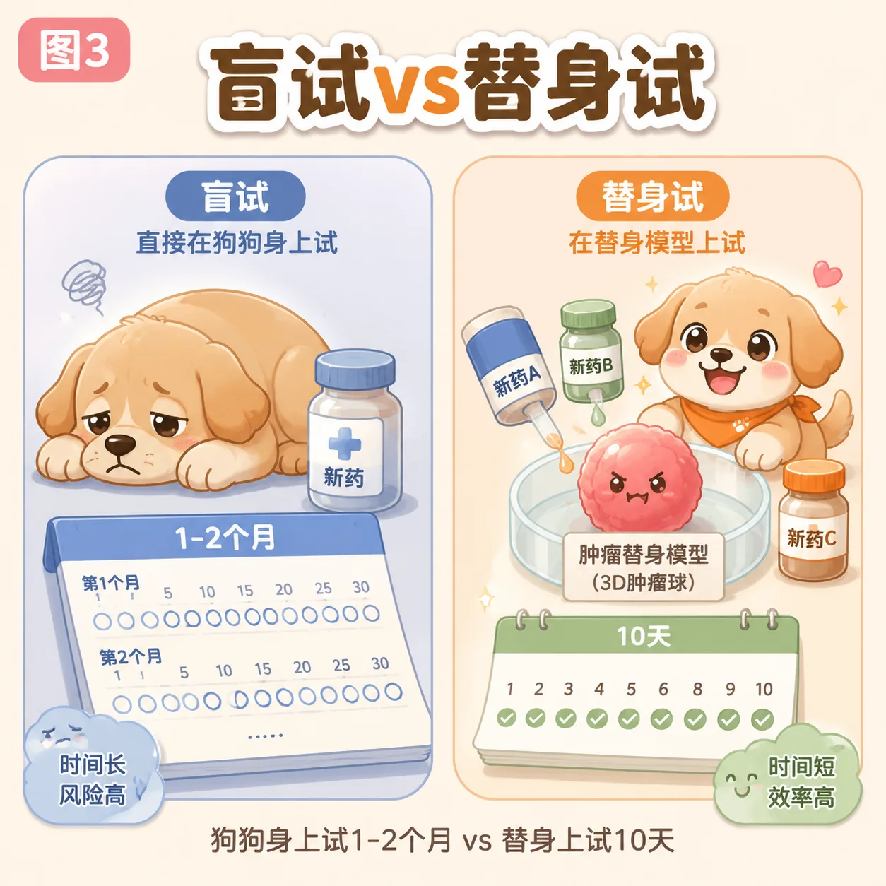 替身试药原理:肿瘤组织→3D类器官→48种药→报告