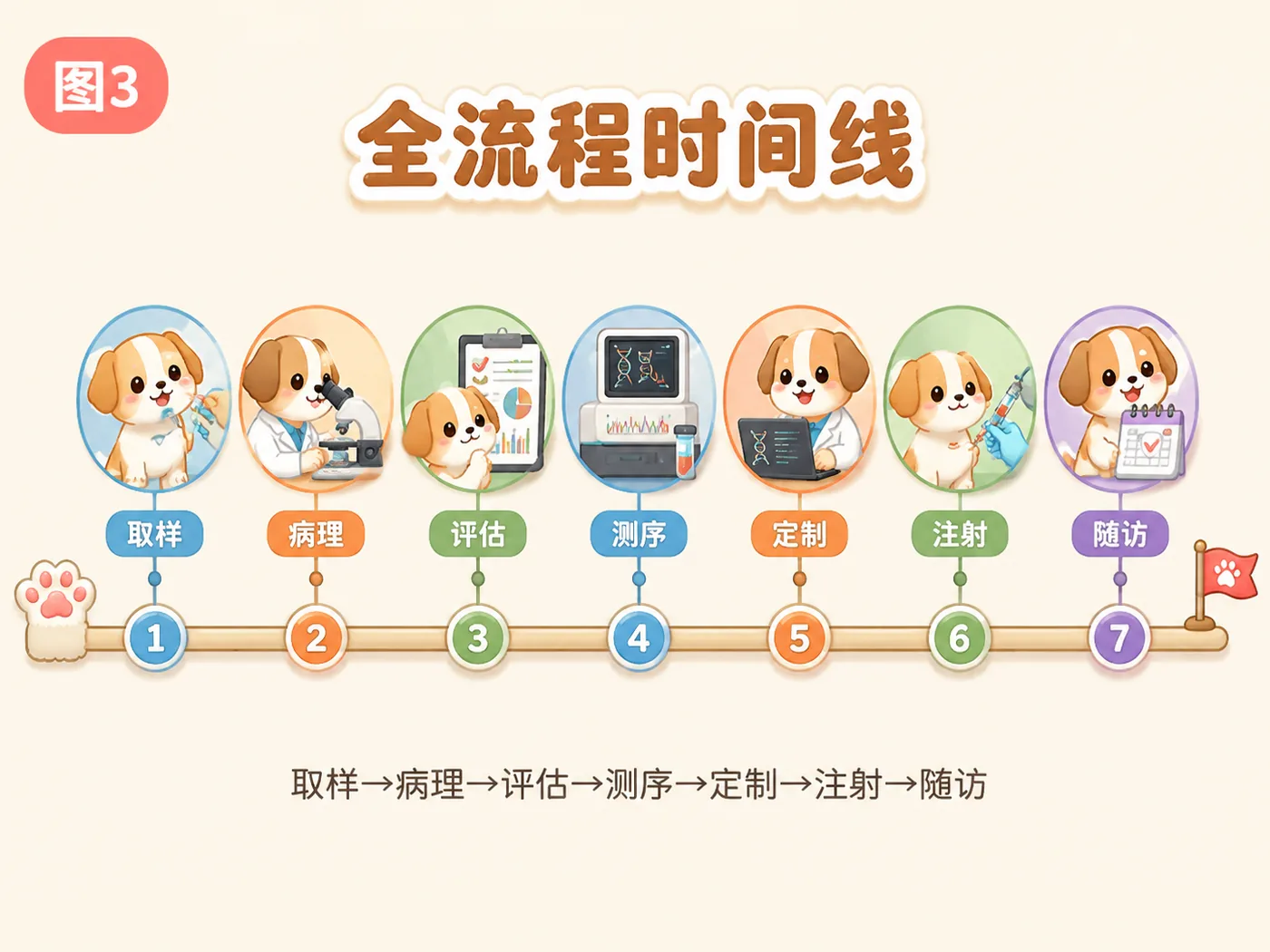 全流程时间线