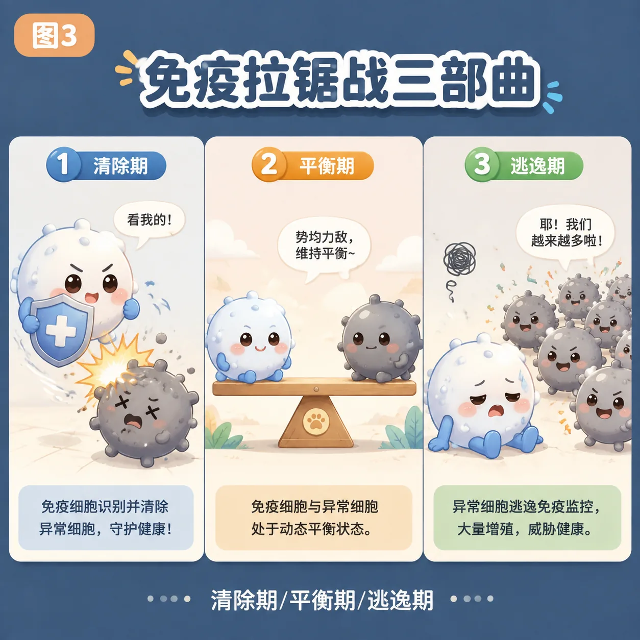 免疫拉锯战三部曲：清除→平衡→逃逸