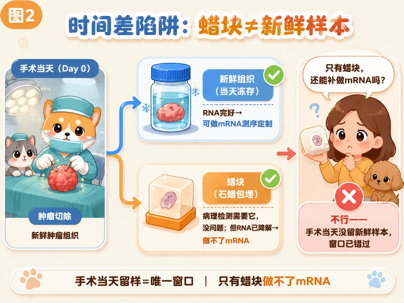蜡块 vs 新鲜组织：蜡块能确诊是什么癌，但做不了个体化定制